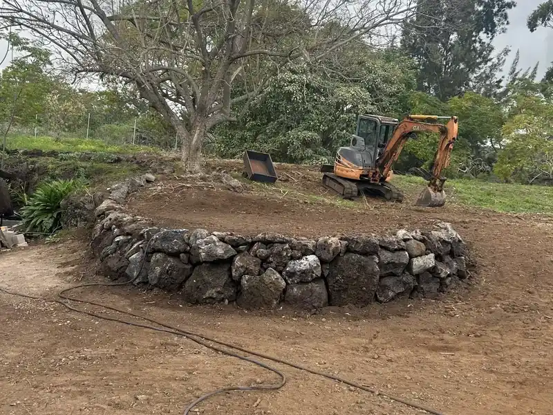 Curved lava rock boulder wall built around a mature tree on a Maui property